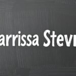 karissa stevens net worth